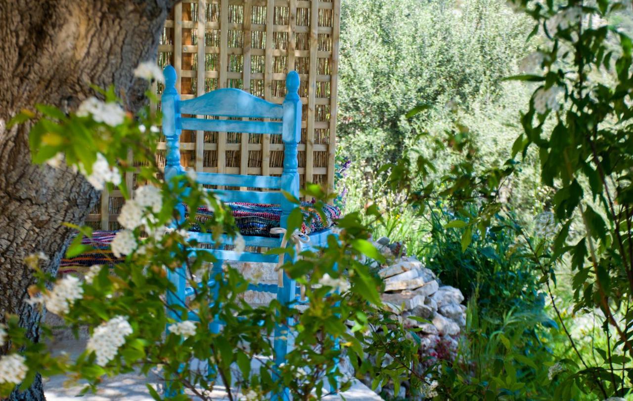 The Olive Cottage - Ithaca Vathy  Dış mekan fotoğraf