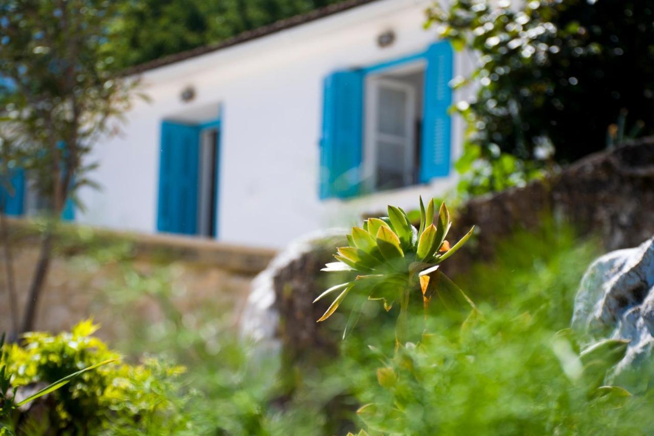 The Olive Cottage - Ithaca Vathy  Dış mekan fotoğraf