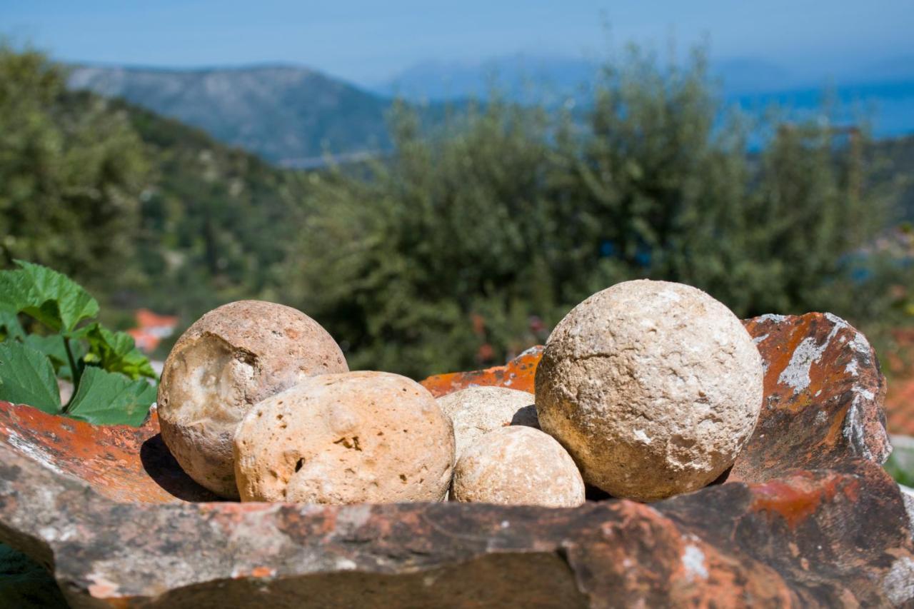 The Olive Cottage - Ithaca Vathy  Dış mekan fotoğraf